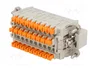 ILME Conector HDC CDSH macho de 27 pines