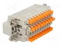 ILME Conector HDC CDSH macho de 27 pines