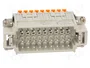 ILME Conector HDC CDSH macho de 27 pines