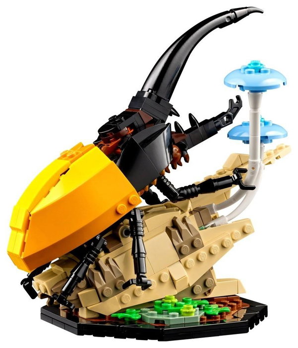 LEGO Ideas 21342 Colección de Insectos