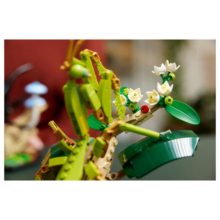 LEGO Ideas Colección de Insectos 21342, Juego de Construcción de 1111 Piezas para Adultos, Modelo para Exponer, Multicolor