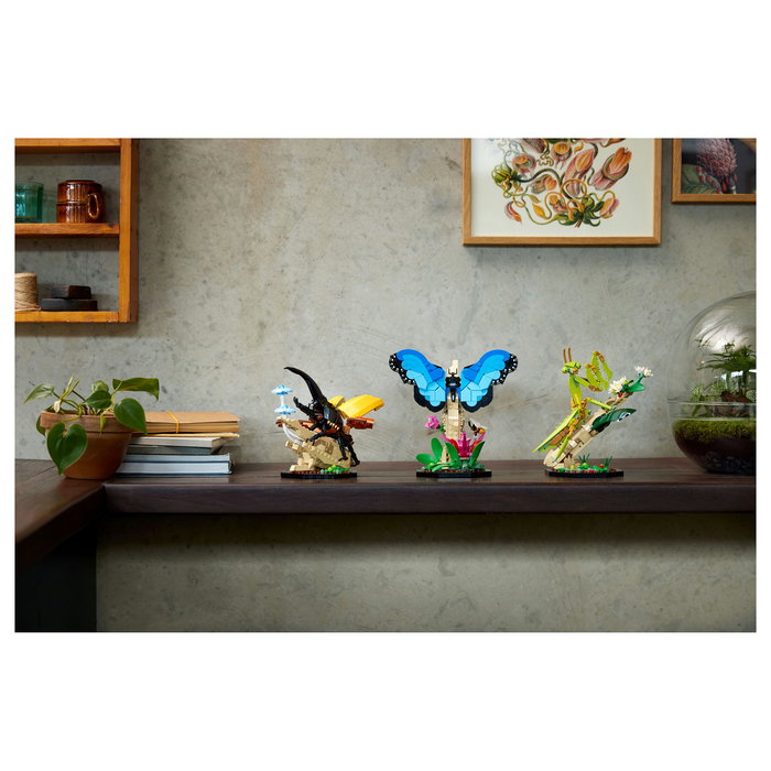 LEGO Ideas Colección de Insectos 21342, Juego de Construcción de 1111 Piezas para Adultos, Modelo para Exponer, Multicolor
