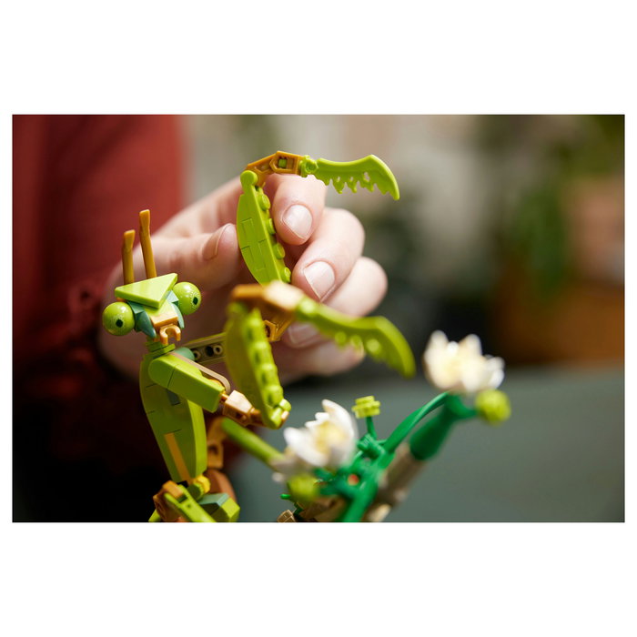 LEGO Ideas Colección de Insectos 21342, Juego de Construcción de 1111 Piezas para Adultos, Modelo para Exponer, Multicolor