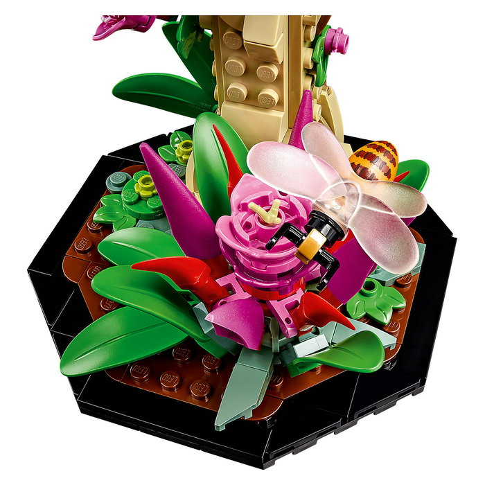 LEGO Ideas Colección de Insectos 21342, Juego de Construcción de 1111 Piezas para Adultos, Modelo para Exponer, Multicolor