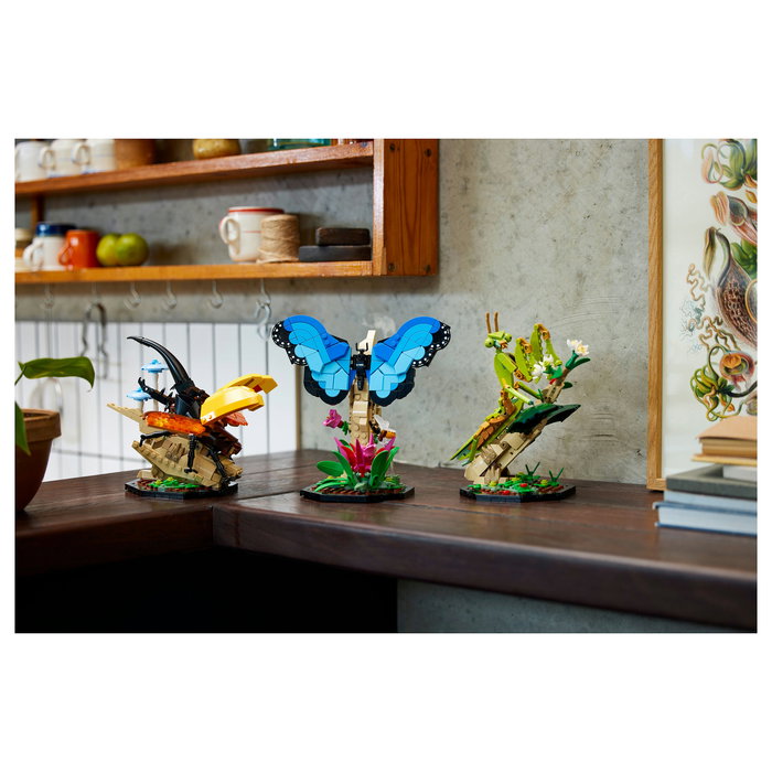 LEGO Ideas Colección de Insectos 21342, Juego de Construcción de 1111 Piezas para Adultos, Modelo para Exponer, Multicolor