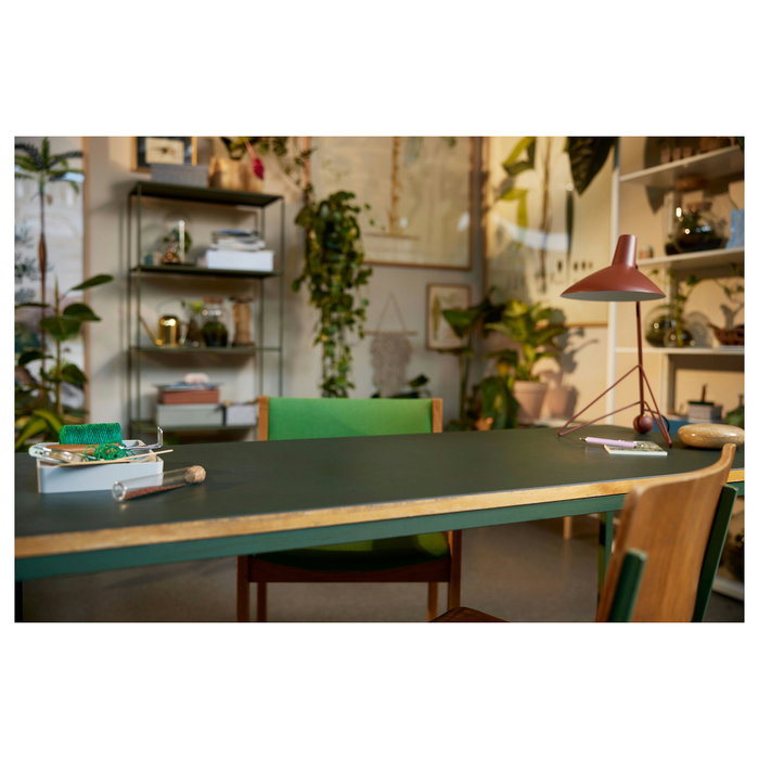 LEGO Ideas Colección de Insectos 21342, Juego de Construcción de 1111 Piezas para Adultos, Modelo para Exponer, Multicolor