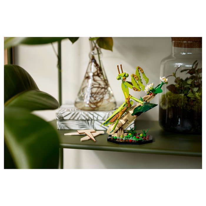 LEGO Ideas Colección de Insectos 21342, Juego de Construcción de 1111 Piezas para Adultos, Modelo para Exponer, Multicolor