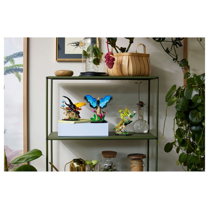 LEGO Ideas Colección de Insectos 21342, Juego de Construcción de 1111 Piezas para Adultos, Modelo para Exponer, Multicolor