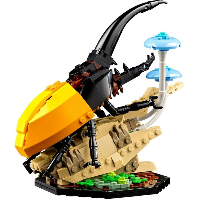LEGO Ideas 21342 Colección de Insectos