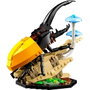 LEGO Ideas 21342 Colección de Insectos