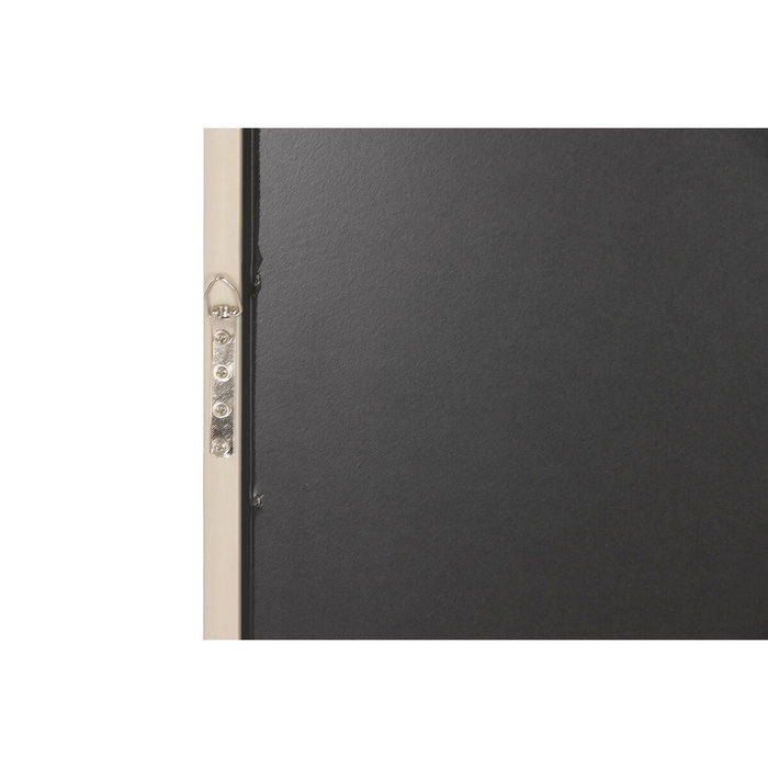 DKD Home Decor Cuadro LED Lienzo LEON 63x3x93 Surtido de 2 unidades