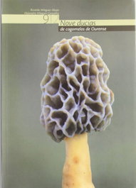 Nove ducias de cogomelos de Ourense, Alejandro Mínguez González - DEPUTACION PROVINCIAL OURENSE
