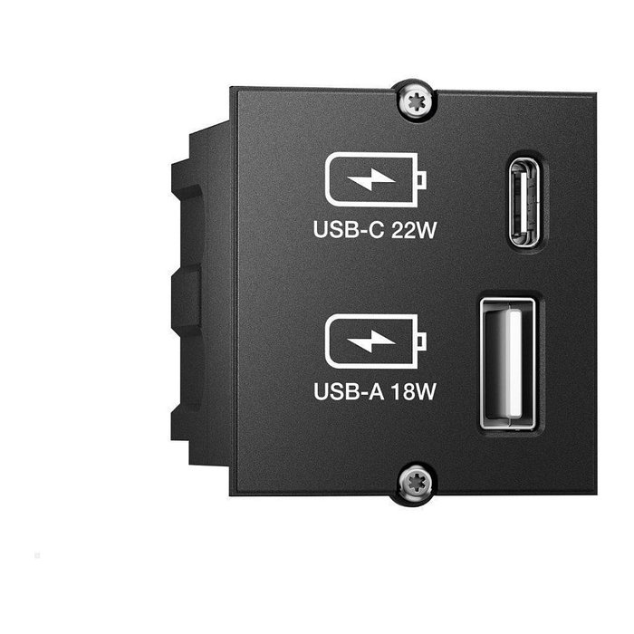 Bachmann 917.227 Cargador USB Módulo con 2 Puertos, Tipo A y Tipo C 22W, Quick Charge, Negro, IP20, 250V