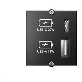 Bachmann 917.227 Cargador USB Módulo con 2 Puertos, Tipo A y Tipo C 22W, Quick Charge, Negro, IP20, 250V