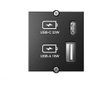 Bachmann 917.227 Cargador USB Módulo con 2 Puertos, Tipo A y Tipo C 22W, Quick Charge, Negro, IP20, 250V
