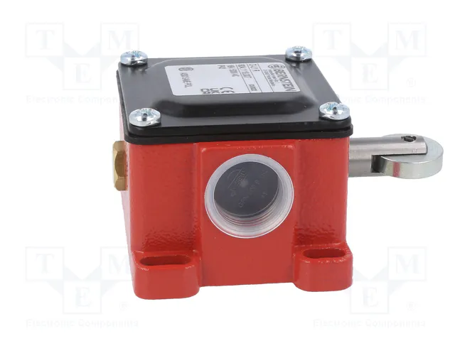 BERNSTEIN AG Interruptor de fin de carrera NO + NC 10A M20