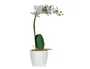 Paperflow Orquidea Artificial Blanca 40 cm Seda y Plástico para Decoración