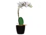 Paperflow Orquidea Artificial Blanca 40 cm Seda y Plástico para Decoración