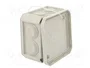 OBO BETTERMANN Caja de conexiones T 40 Gris Claro