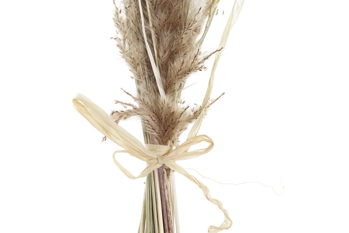 DKD Home Decor Ramo de Flores Secas Marrón y Beige