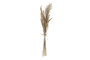 DKD Home Decor Ramo de Flores Secas Marrón y Beige