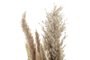 DKD Home Decor Ramo de Flores Secas Marrón y Beige