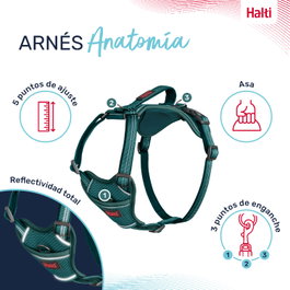 Halti Anatomy Arnés Turquesa M Cuerpo 48-68 cm (Set de 48)