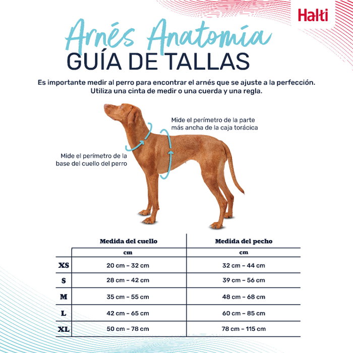 Halti Anatomy Arnés Turquesa M Cuerpo 48-68 cm (Set de 48)