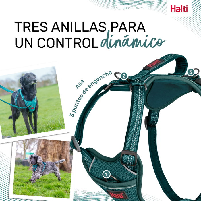 Halti Anatomy Arnés Turquesa M Cuerpo 48-68 cm (Set de 48)