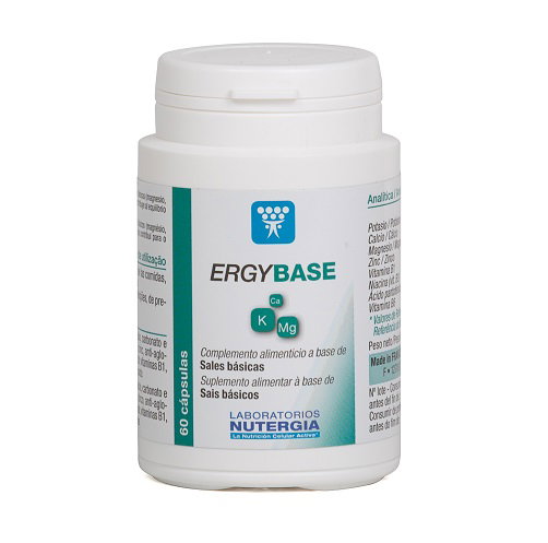 Ergybase Ergybase