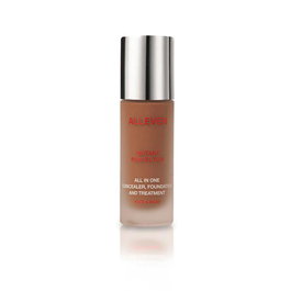 Alleven Instant Perfector Onyx