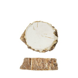 Summa Premium Plato Llano Organic Tronco Crema 15x13cm