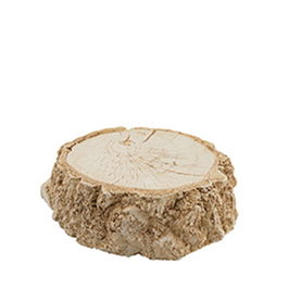 SUMMA PREMIUM TRONCOS Fuente Decorada para Postres, 15 x 13.5 x 5 cm, Colección Troncos, Porcelana, Vajilla Premium