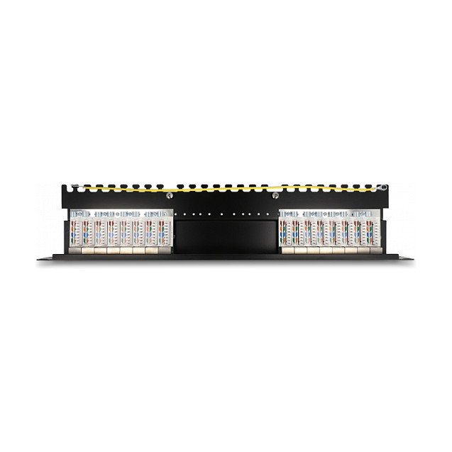 DeLOCK Panel de Conexiones Patch Panel de 19 Pulgadas, 16 Puertos Cat.6A 1U, Negro, Metálico, Referencia 19? 16 Port Cat.6A 1 HE