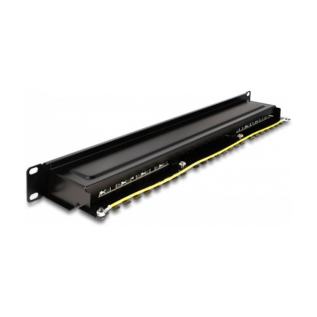 DeLOCK Panel de Conexiones Patch Panel de 19 Pulgadas, 16 Puertos Cat.6A 1U, Negro, Metálico, Referencia 19? 16 Port Cat.6A 1 HE