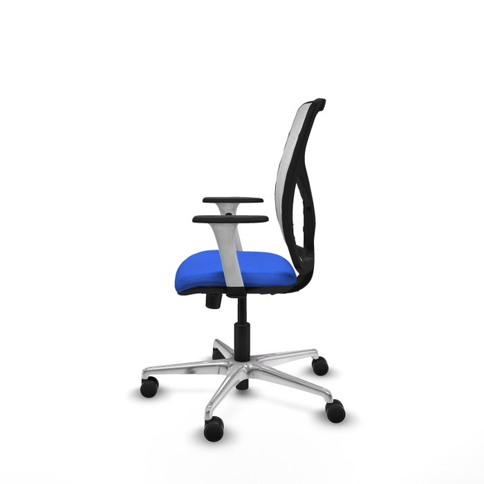 PIQUERAS Y CRESPO Silla de oficina Motilla con mecanismo Sincro, Azul y Blanco PIQUERAS Y CRESPO Silla de oficina Motilla con mecanismo Sincro, Azul y Blanco