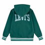 Sudadera con Capucha Niño Levi's Lvb Varsity Oliva 5.0-Light Brunette