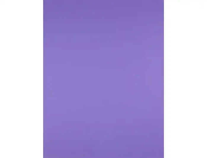 Liderpapel Cartulina Púrpura 50x65 cm 240g/m2 (25 hojas)