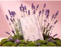 Liderpapel Agenda Oficina Flowers 2027 A5 Bilingüe Surtida