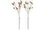 DKD Home Decor Ramas de Bayas de Foam y PE 25x25x60 cm Surtido
