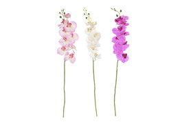 DKD Home Decor Flores de Orquídea Surtido de 3 Colores en Poliéster y Plástico