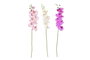 DKD Home Decor Flor Orquídea Rosa Blanco 7 x 91 x 14 cm (12 Unidades)