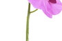 DKD Home Decor Flor Orquídea Rosa Blanco 7 x 91 x 14 cm (12 Unidades)