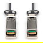 Digitus Cable SFP+ 10G DAC 10.0m schwarz AWG 24 MSA Negro 10m