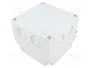 FIBOX MNX PCM125/100G Carcasa Universal de Policarbonato Gris