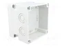 FIBOX MNX PCM125/100G Carcasa Universal de Policarbonato Gris