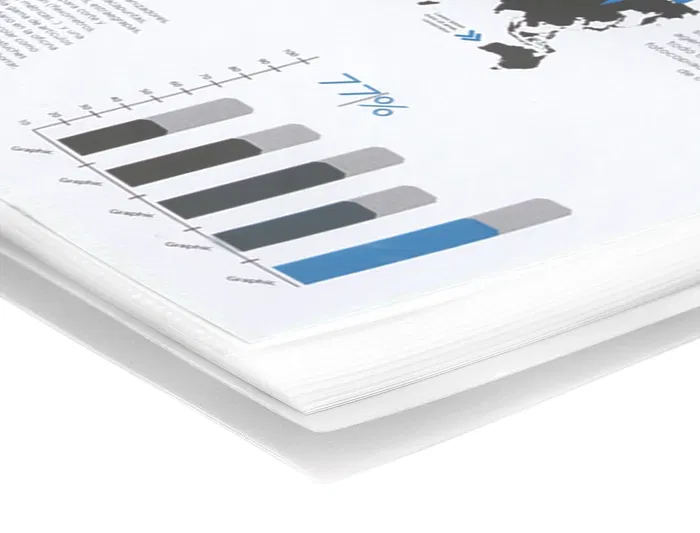 Liderpapel Carpeta Escaparate con Espiral 30 Fundas Polipropileno DIN A4 Transparente