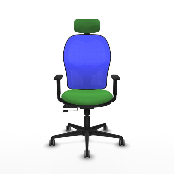 PIQUERAS Y CRESPO Silla de oficina Jorquera con mecanismo Sincro/Traslack Verde y Azul