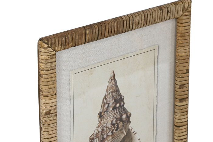 DKD Home Decor Cuadro Mediterráneo con Motivo Caracola en Madera de Abeto y Cristal, Colores Marrón y Beige, 30 x 40 x 2.5 cm - Lote de 9 Unidades