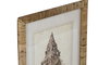 DKD Home Decor Cuadro Mediterráneo con Motivo Caracola en Madera de Abeto y Cristal, Colores Marrón y Beige, 30 x 40 x 2.5 cm - Lote de 9 Unidades